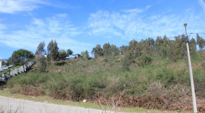 Land in Freamunde of 23,430 m²