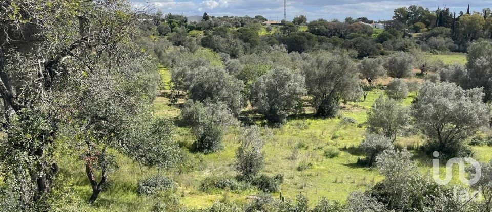 Maison T0 à Almancil de 89 m²