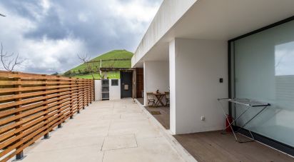 House T4 in São Vicente Ferreira of 495 m²