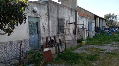 Terrain à Vale de Santarém de 43 200 m²