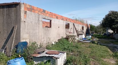 Terrain à Vale de Santarém de 43 200 m²