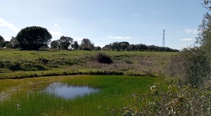 Land in Vale de Santarém of 43,200 m²