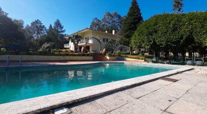 House T4 in Nogueira do Cravo e Pindelo of 309 m²