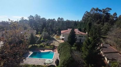 House T4 in Nogueira do Cravo e Pindelo of 309 m²