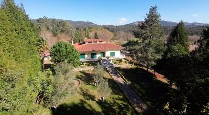 House T4 in Nogueira do Cravo e Pindelo of 309 m²