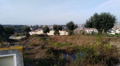 Building land in Batalha of 555 m²