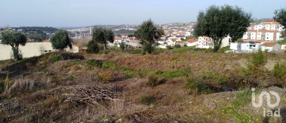 Building land in Batalha of 555 m²
