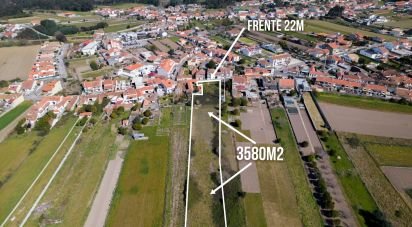 Terrain à Esgueira de 3 580 m²
