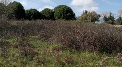 Terrain à bâtir à Batalha de 1 430 m²