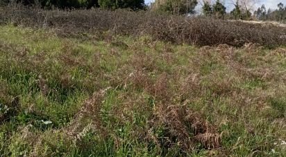 Terrain à bâtir à Batalha de 1 430 m²