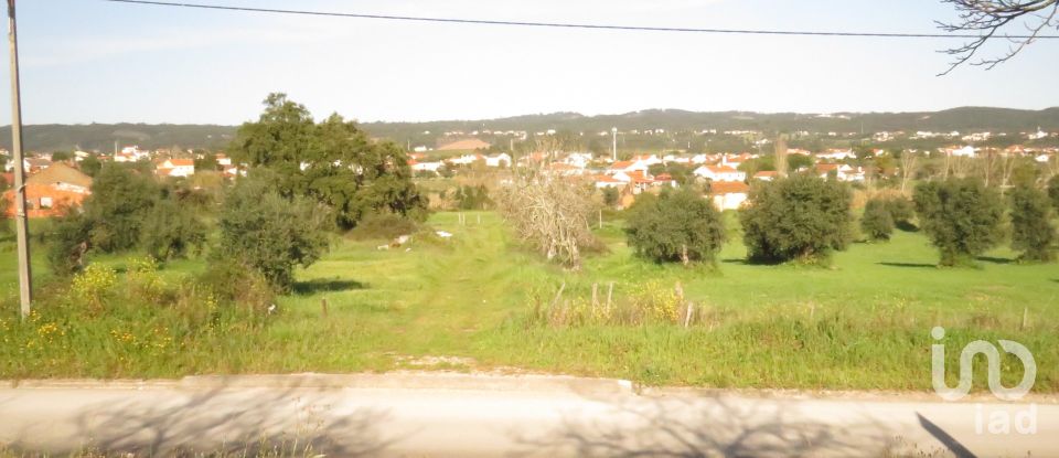 Terrain à Tomar (São João Baptista) e Santa Maria dos Olivais de 511 m²