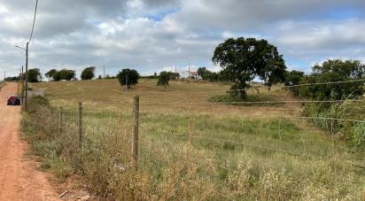 Land in Cercal of 5,385 m²