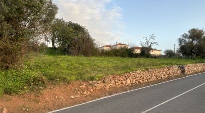 Terrain à São Bartolomeu de Messines de 760 m²
