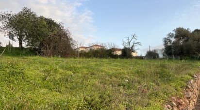 Terrain à São Bartolomeu de Messines de 760 m²