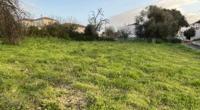 Terrain à São Bartolomeu de Messines de 760 m²