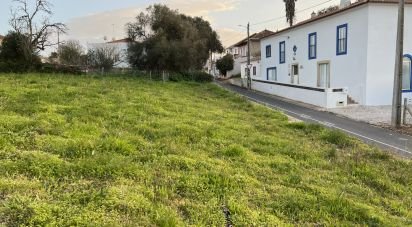 Terrain à São Bartolomeu de Messines de 760 m²