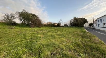 Terrain à São Bartolomeu de Messines de 760 m²