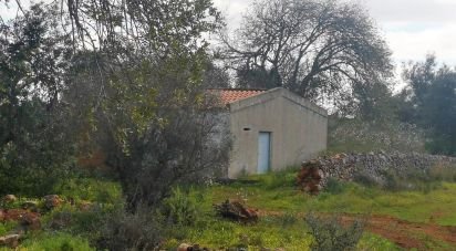 Terrain à São Bartolomeu de Messines de 5 420 m²