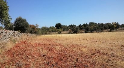 Terrain à São Bartolomeu de Messines de 5 420 m²