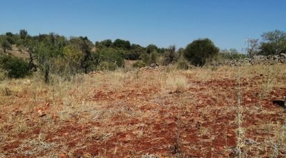 Terrain à São Bartolomeu de Messines de 5 420 m²