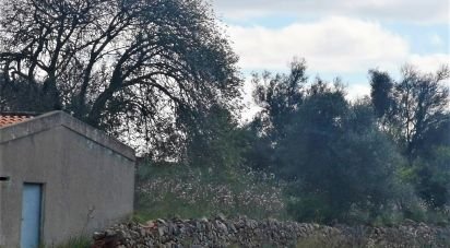 Terrain à São Bartolomeu de Messines de 5 420 m²