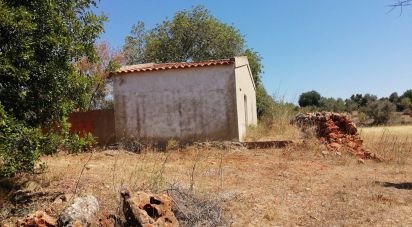 Terrain à São Bartolomeu de Messines de 5 420 m²