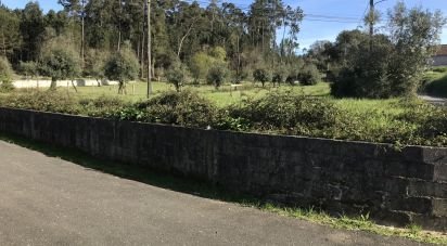 Terrain à Ansião de 1 490 m²