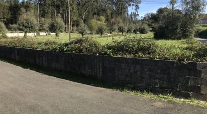 Terrain à Ansião de 1 490 m²