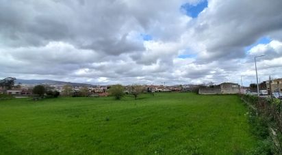 Maison traditionnelle T8 à Barcelinhos de 432 m²