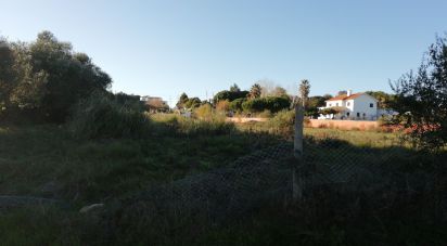 Building land in Sintra (Santa Maria e São Miguel, São Martinho e São Pedro de Penaferrim) of 5,000 m²