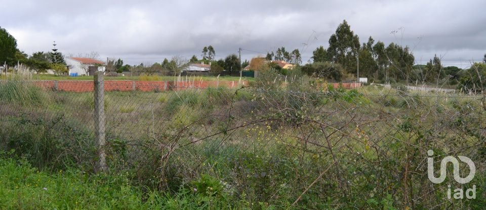 Terreno para construção em Sintra (Santa Maria e São Miguel, São Martinho e São Pedro de Penaferrim) de 5 000 m²