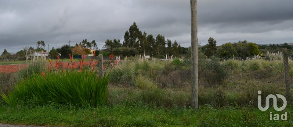 Terreno para construção em Sintra (Santa Maria e São Miguel, São Martinho e São Pedro de Penaferrim) de 5 000 m²