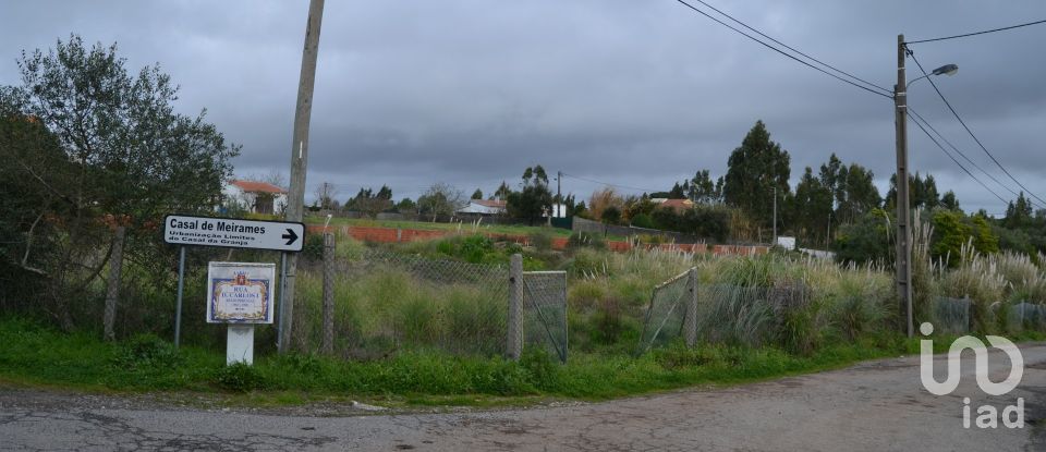 Terrain à bâtir à Sintra (Santa Maria e São Miguel, São Martinho e São Pedro de Penaferrim) de 5 000 m²