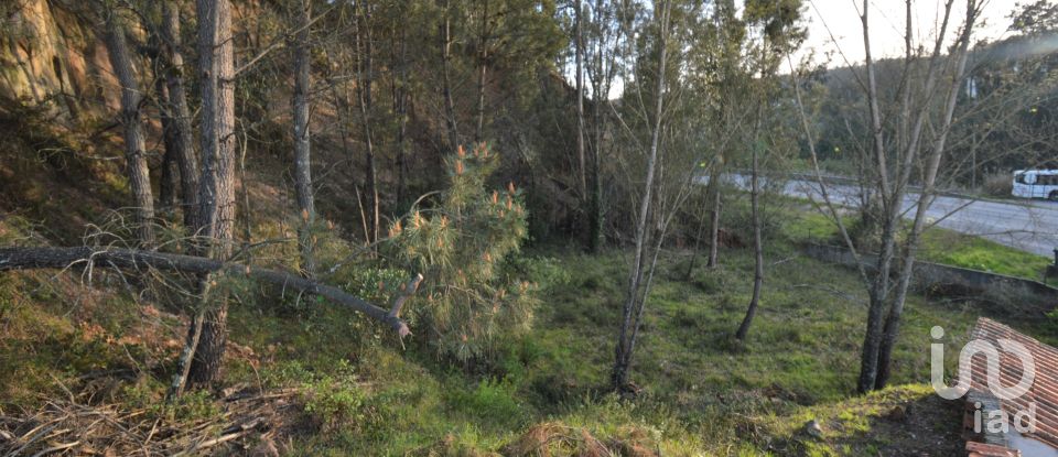 Maison T3 à Semide e Rio Vide de 77 m²