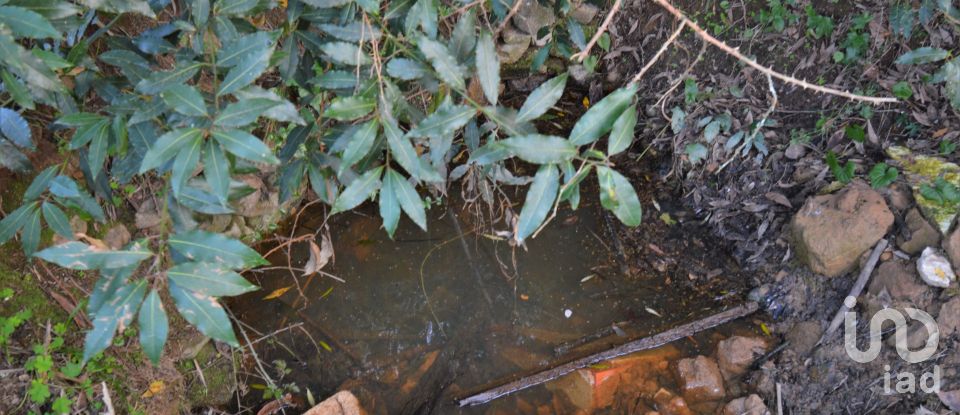 Maison T3 à Semide e Rio Vide de 77 m²