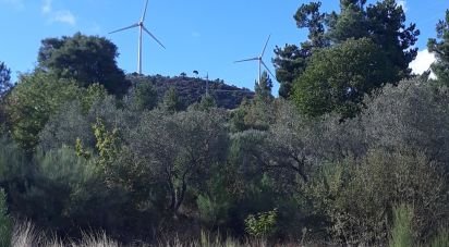 Terrain à Sendim de 2 980 m²