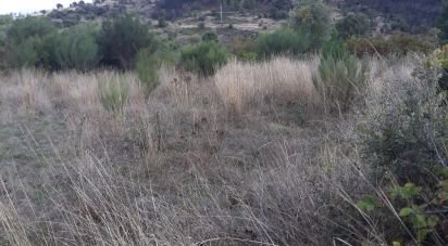 Terrain à Sendim de 2 980 m²