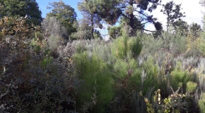 Terrain à Sendim de 2 980 m²