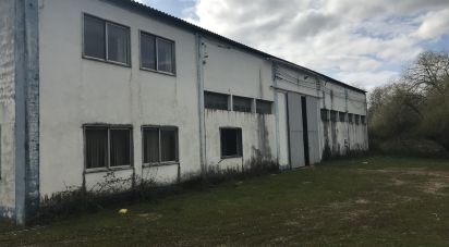 Pavilion T0 in Redinha of 6,148 m²