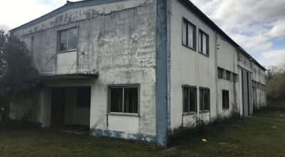 Pavilion T0 in Redinha of 6,148 m²