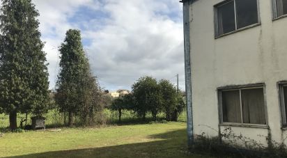 Pavilion T0 in Redinha of 6,148 m²