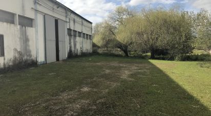 Pavilion T0 in Redinha of 6,148 m²