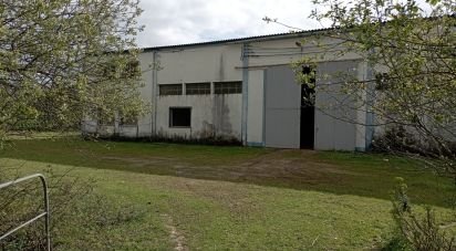 Pavilion T0 in Redinha of 6,148 m²