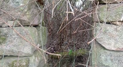 Maison T0 à Rua de 149 m²