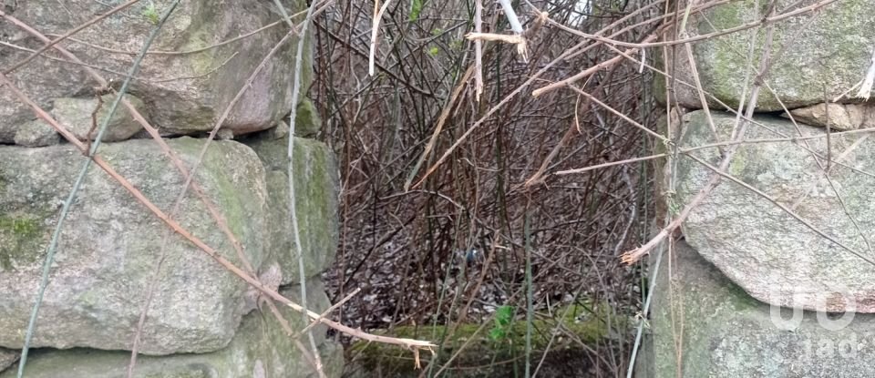 Moradia T0 em Rua de 149 m²