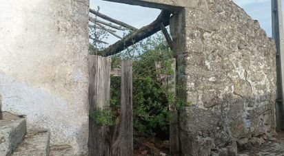 Maison T0 à Rua de 149 m²