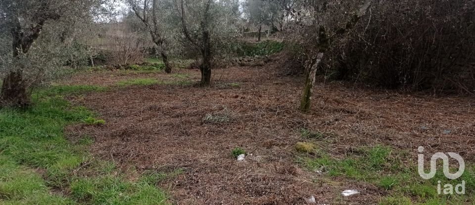 Moradia T0 em Rua de 149 m²