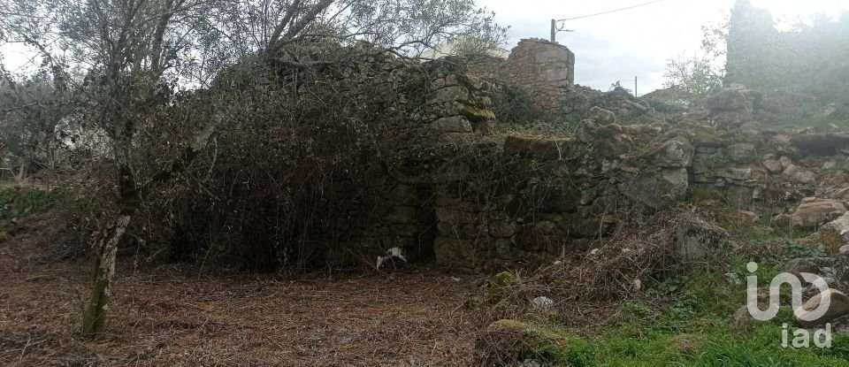 Moradia T0 em Rua de 149 m²