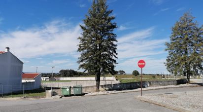 Terrain à Aguiar de 553 m²