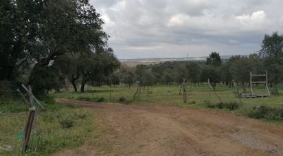 Terrain à Viana do Alentejo de 35 500 m²